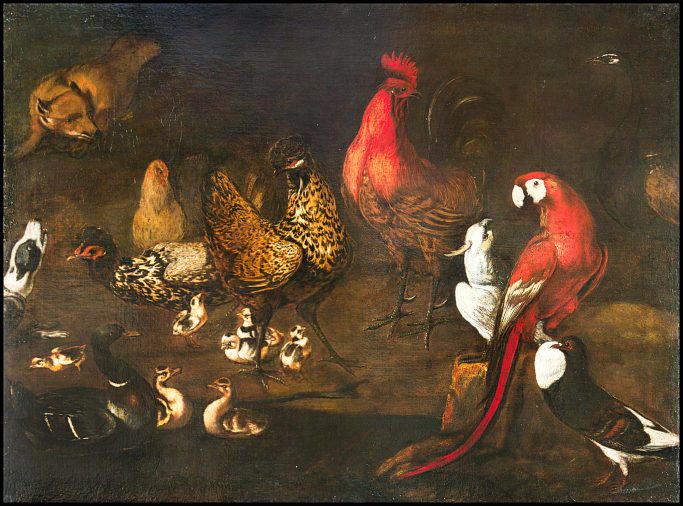 Bassecour, renard, chien, perroquets et cacatoès - Attribué à Nicasius Bernaert 1620 -1678 - École Flamande – Collection Pisani