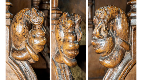 Combat de deux serpents
