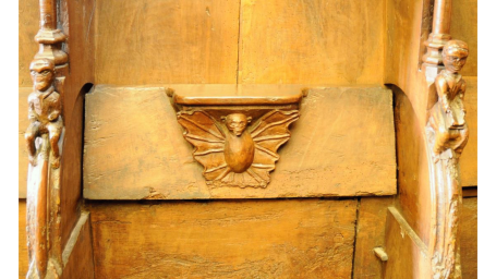Chauve-souris