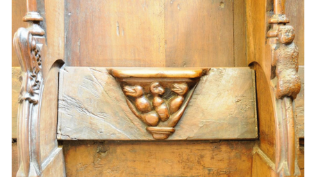 Trois sauriens au corps globuleux